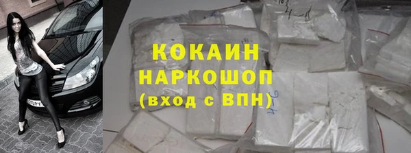 прущие грибы Алексеевка