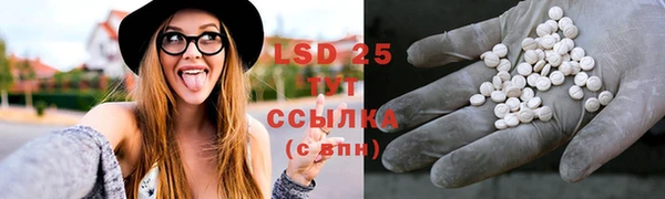 прущие грибы Алексеевка
