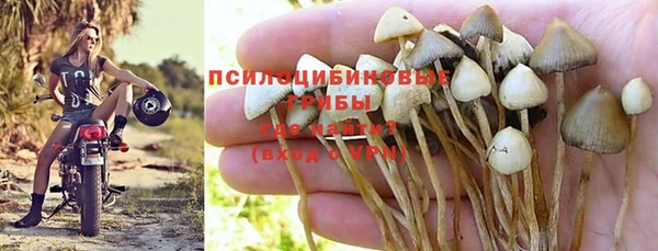 прущие грибы Алексеевка