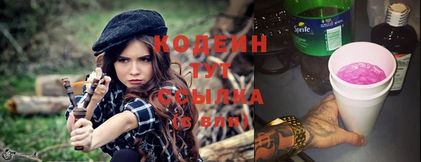 молекула духа Алексин